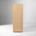 Norre Cabinet (36")