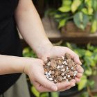 Sol Soils Houseplant Chunky Mix