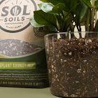 Sol Soils Houseplant Chunky Mix