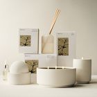 West Elm Homescent Sphere Diffuser - Mint Tea