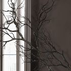 Faux Spooky Branch