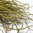 Faux Green Amaranthus Stem