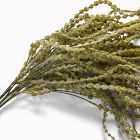 Faux Green Amaranthus Stem
