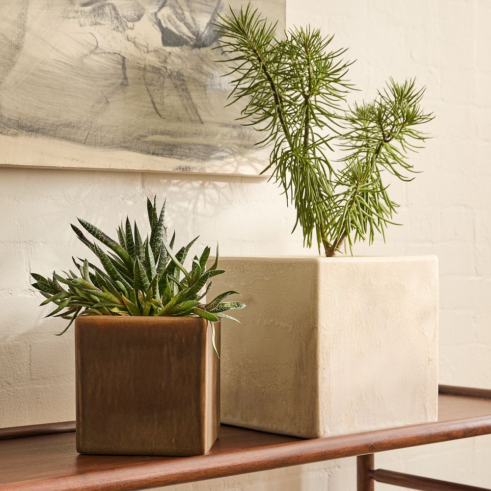 Renato Ceramic Tabletop Planter - Medium - 7"D x 7.2"H