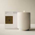West Elm Homescent Single Wick Candle - Cypress Moss