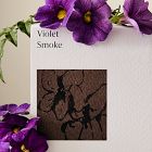 West Elm Homescent Single Wick Candle - Violet Smoke