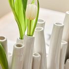 Tulipiere Vase