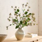 Clematis Pods Bundle