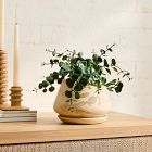 Marbled Ceramic Planter