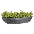 Faux Potted Baby's Breath w/ Planter