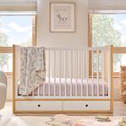 Ziggy Convertible Storage Crib