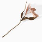 Pierce &amp; Ward Tulip Stem