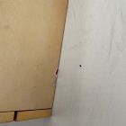 Open Box: Mid-Century Champagne Lacquer Jewelry Box, Grand (7.25"H)