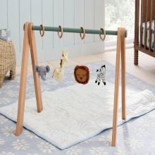 Baby Toys