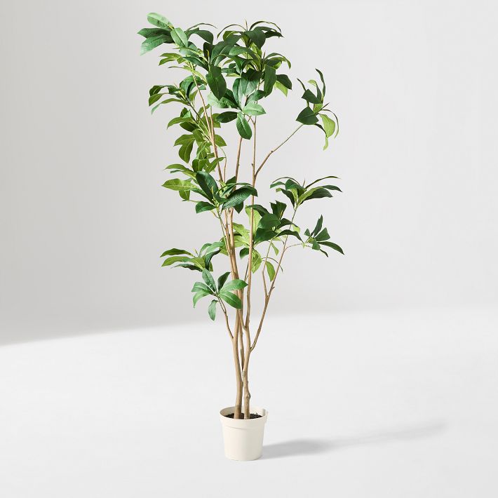 Faux Frangipani Tree, 7ft Tall | West Elm