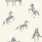 Tempaper Zebras Wallpaper