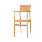Orelien Teak Outdoor Dining Chairs (Set of 2)