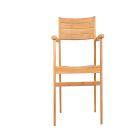 Orelien Teak Outdoor Dining Chairs (Set of 2)