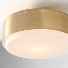 Sandro Metal Flush Mount (14")