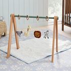Pine Baby Gym &amp; Baby Gym Sensory Accessories