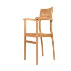 Orelien Teak Outdoor Dining Chairs (Set of 2)