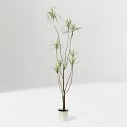 Faux Potted Dracaena