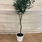 Open Box: Faux Potted Olive Tree (5')