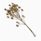 Faux Chestnut Stem Bundle