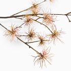 Faux Thistle Branch