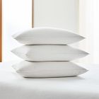 European Down Pillow Insert