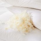 TENCEL™ Blended Down Pillow Insert