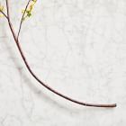 Faux Berry Branch