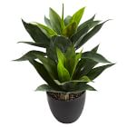 Faux Agave Plant