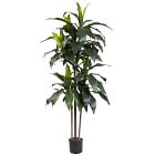 Faux Dracaena Marginata Plant (5')