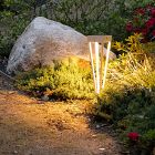 Hawi Solar Torch