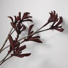 Faux Burgundy Kangaroo Paw Branch
