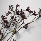 Faux Burgundy Kangaroo Paw Branch