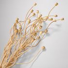Faux Poppy Pods Bundle