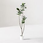 Faux Potted Young Rubber Tree
