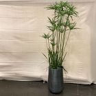 Open Box: Faux Potted Cypress Grass Tree w/ Planter (6.5')