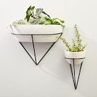 Iris Cement Indoor/Outdoor Wall Planters