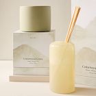 Terra Homescent Collection - Cedarwood Grove