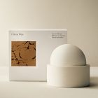 West Elm Homescent Sphere Diffuser - Citrus Pine
