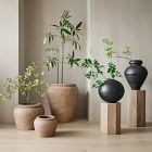 Colin King Washed Ficonstone Planters