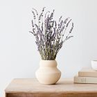 Dried Lavender Stem Bunch