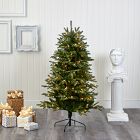 Pre-Lit Faux Snowed Grand Teton Christmas Tree (5'&ndash;7')