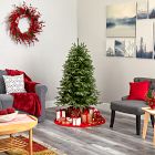 Pre-Lit Faux Snowed Grand Teton Christmas Tree (5'&ndash;7')