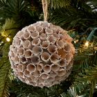 Dried Snowy Ball Ornament