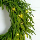 Pre-Lit Faux Natural Norfolk Pine Wreath (24")