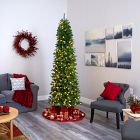 Pre-Lit Faux Slim Mountain Pine Tree (6'&ndash;9')